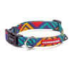Imagen de COLLAR T-MUTTS TALLE S - CACHORREIROS