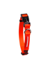 Imagen de COLLAR RED TALLE S - CACHORREIROS