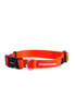 Imagen de COLLAR RED TALLE L - CACHORREIROS
