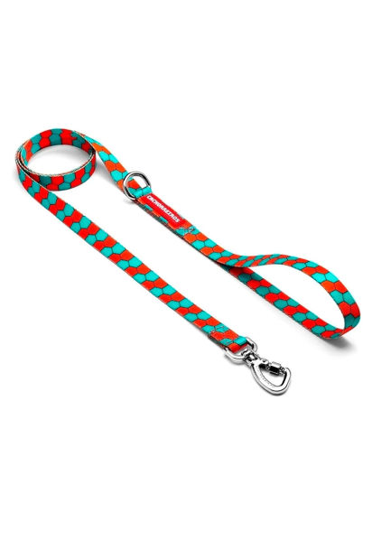 Imagen de CORREA HONNEY TALLE S - CACHORREIROS