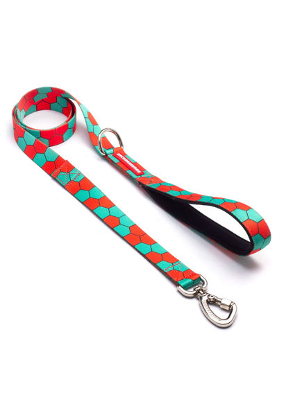 Imagen de CORREA HONNEY TALLE L - CACHORREIROS