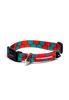 Imagen de COLLAR HONNEY TALLE S - CACHORREIROS