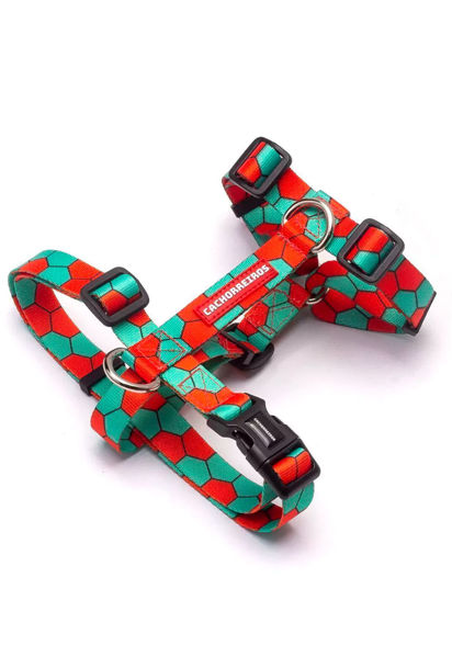 Imagen de ARNES H HONNEY TALLE S - CACHORREIROS