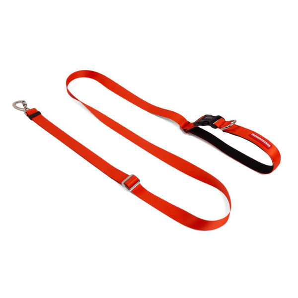 Imagen de CORREA RUNNING RED TALLE L - CACHORREIROS