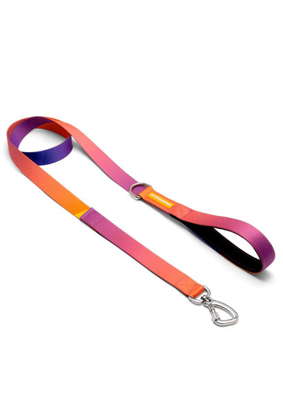 Imagen de CORREA SPEED TALLE S - CACHORREIROS