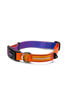 Imagen de COLLAR SPEED TALLE S - CACHORREIROS