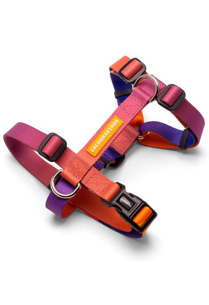 Imagen de ARNES H SPEED TALLE S - CACHORREIROS