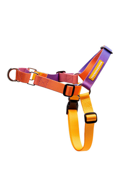 Imagen de ARNES ANTITIRONES SPEED TALLE S - CACHORREIROS