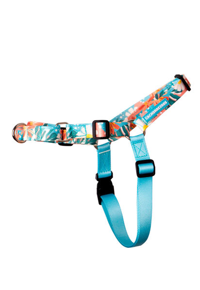 Imagen de ARNES ANTITIRONES FLORAL TALLE M - CACHORREIROS