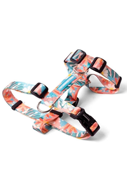 Imagen de ARNES H FLORAL TALLE L - CACHORREIROS