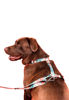 Imagen de ARNES H FLORAL TALLE L - CACHORREIROS