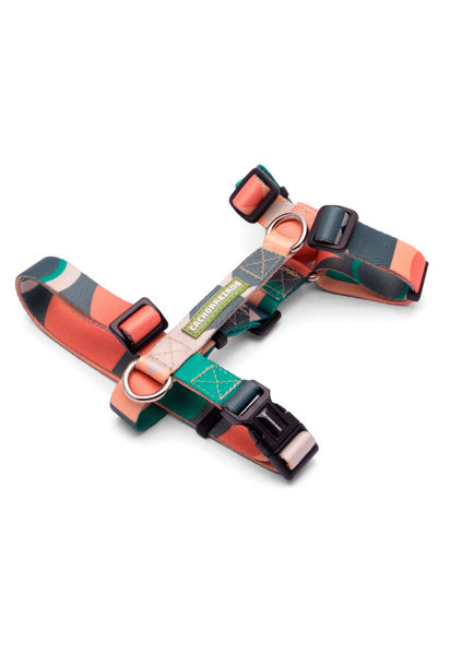 Imagen de ARNES H FREEDOM TALLE L - CACHORREIROS