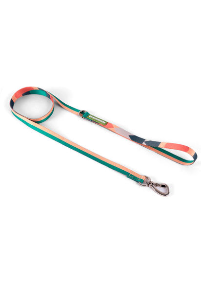 Imagen de CORREA FREEDOM TALLE S - CACHORREIROS