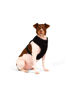 Imagen de ARNES FLOW BLACK TALLE L - CACHORREIROS