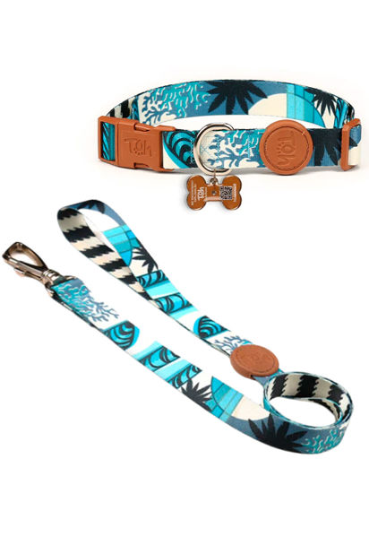 Imagen de COLLAR + CORREA TOH TALLE XS NORONHA
