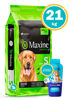Imagen de MAXINE Alimento Senior 21kg