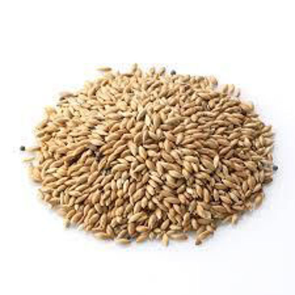 Imagen de ALPISTE 25 KG