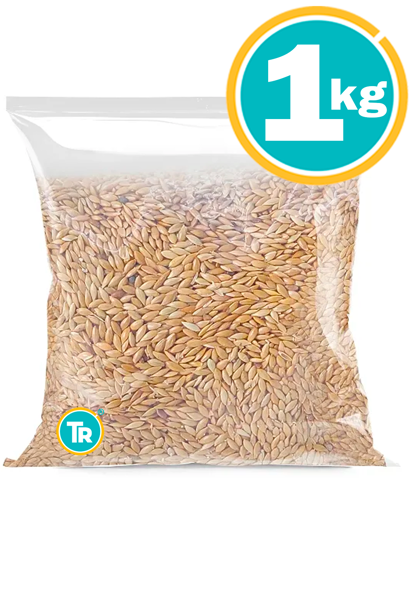 Imagen de Alpiste 1kg