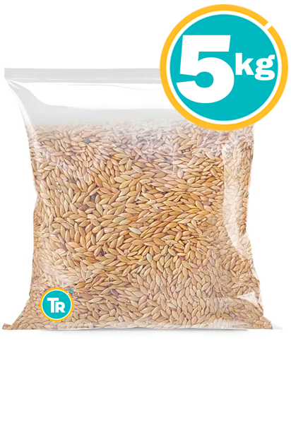 Imagen de ALPISTE 5KG