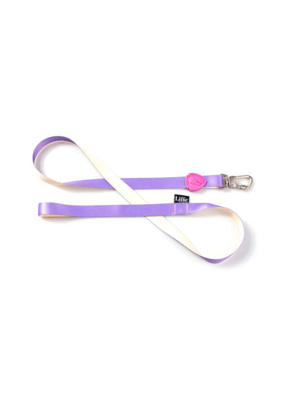 Imagen de CORREA TRADICIONAL 1,2M AURORA - G