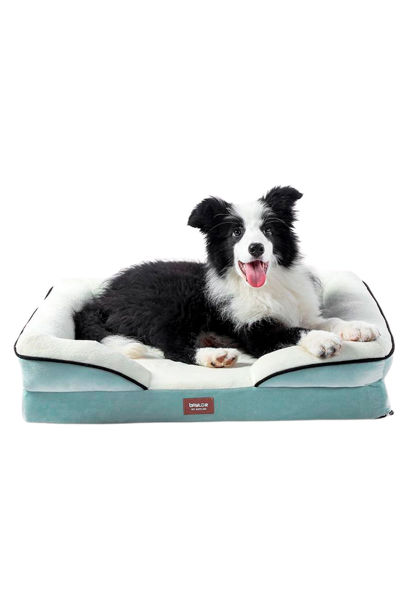 Imagen de Cama Ortopédica Baylor Talle S