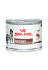 Imagen de Lata Royal Canin Recovery Feline/Canine 195grs