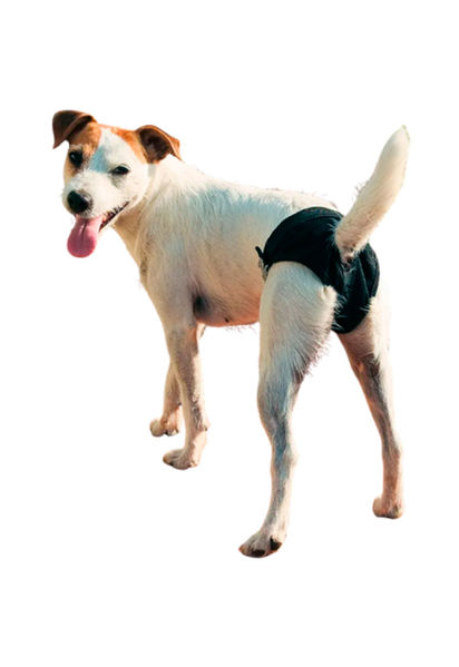 Imagen de Pantalone Higiénico Talle L