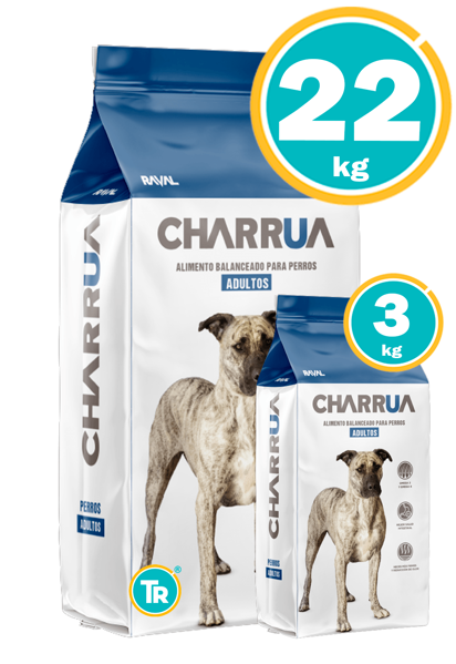 Imagen de CHARRUA Perro Adulto 22+3kg
