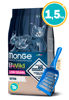 Imagen de MONGE Cat BWild Low Grain KITTEN 1.5KG + Regalo a elección