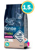 Imagen de MONGE Cat BWild Low Grain KITTEN 1.5KG + Regalo a elección