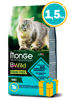 Imagen de MONGE Cat BWild Grain Free Adult Cod Fish 1,5KG + Regalo a elección