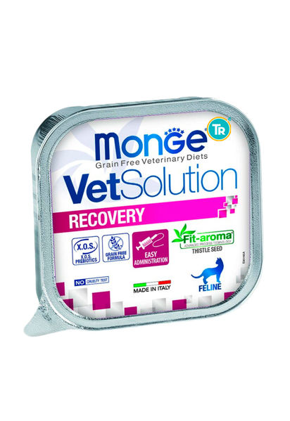 Imagen de PATE VET SOLUTION CAT RECOVERY 100GR