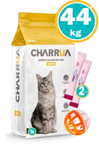Imagen de CHARRUA Gato Adulto 22 KG X2 + Snack + Pelota