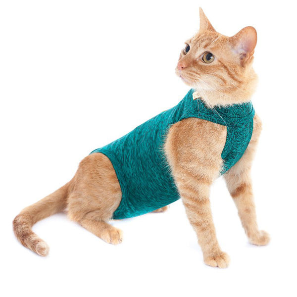 Imagen de ROPA PRTECTORA PARA GATOS TALLE 1 VERDE