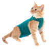 Imagen de ROPA PROTECTORA PARA GATOS TALLE 3 VERDE