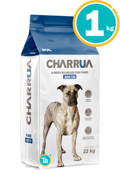 Imagen de CHARRUA PERRO ADULTO 1KG