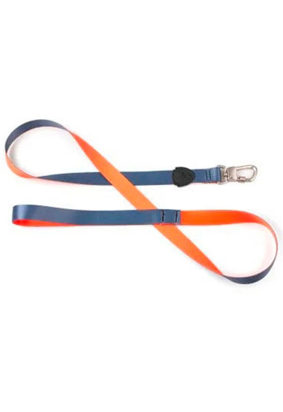 Imagen de CORREA TRADICIONAL 1,2M URBANO - G