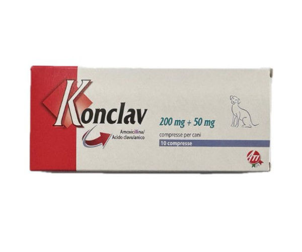 Imagen de KONCLAV 250MG 10 COMP BLISTER