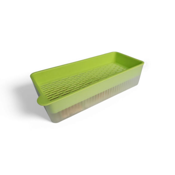 Imagen de KIT PASTO RECTANGULAR PPARA GATOS