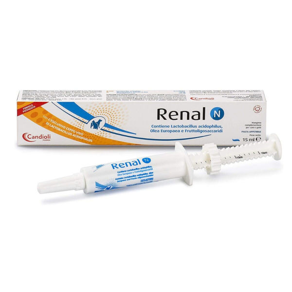 Imagen de RENAL N PASTA 15ML