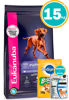 Imagen de EUKANUBA Alimento Large Breed Puppy 15kg