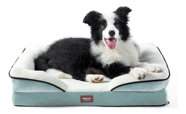 Imagen de Cama Ortopédica Baylor Rectangular para Perro Talle M