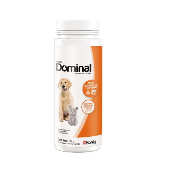 Imagen de DOMINAL POLVO REPELENTE 100GRS