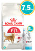 Imagen de ROYAL CANIN Gato Feline Fit 32 7,5 Kg + Sanitario