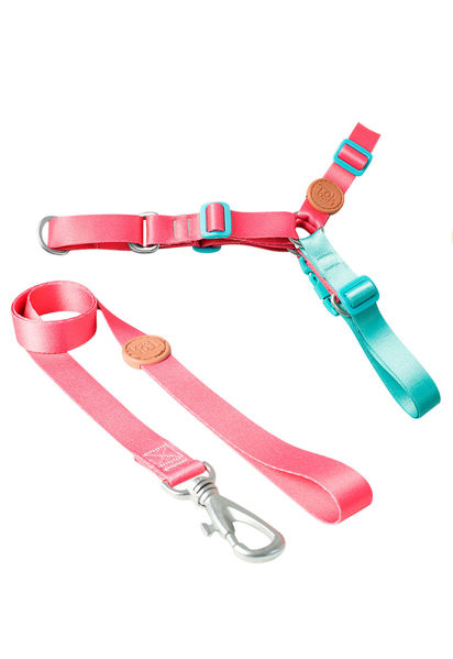 Imagen de ARNES ANTITIRONES + CORREA TOH TALLE M ROSA