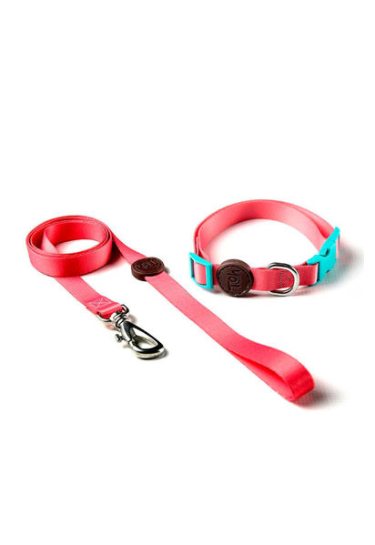 Imagen de COLLAR + CORREA TOH TALLE S ROSA