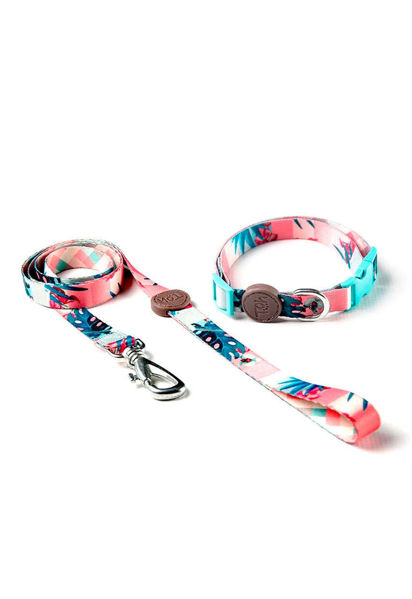 Imagen de COLLAR + CORREA TOH TALLE S LAGUNA