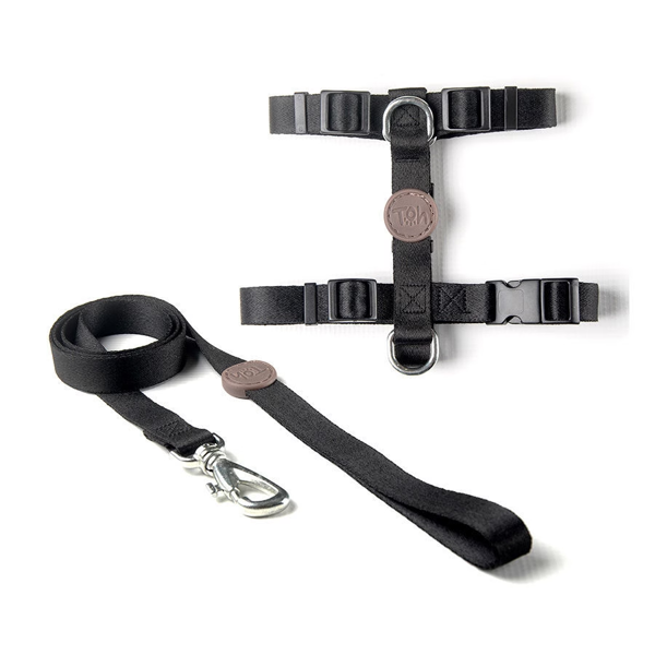 Imagen de ARNES H + CORREA TOH TALLE S NEGRO