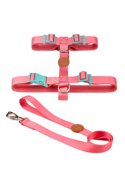 Imagen de ARNES H + CORREA TOH TALLE S ROSA