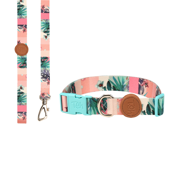 Imagen de COLLAR + CORREA TOH TALLE M LAGUNA